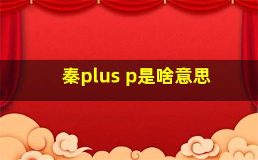 秦plus p是啥意思